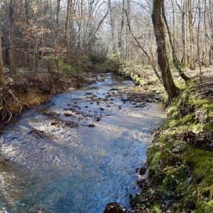 Photo of 48.679 Acres of Hunting / Recreation Land For Sale in Amherst County VA!