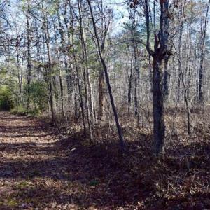 Photo of 48.679 Acres of Hunting / Recreation Land For Sale in Amherst County VA!