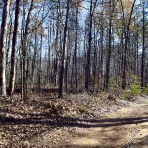 Photo of 48.679 Acres of Hunting / Recreation Land For Sale in Amherst County VA!