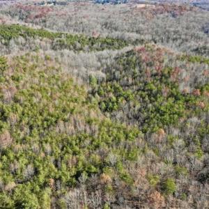 Photo of 48.679 Acres of Hunting / Recreation Land For Sale in Amherst County VA!