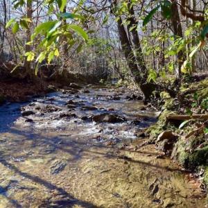 Photo of 48.679 Acres of Hunting / Recreation Land For Sale in Amherst County VA!