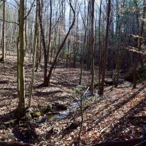 Photo of 48.679 Acres of Hunting / Recreation Land For Sale in Amherst County VA!