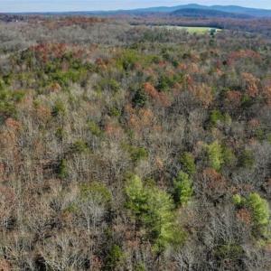 Photo of 48.679 Acres of Hunting / Recreation Land For Sale in Amherst County VA!