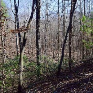 Photo of 48.679 Acres of Hunting / Recreation Land For Sale in Amherst County VA!
