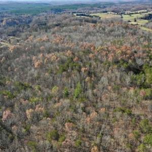 Photo of 48.679 Acres of Hunting / Recreation Land For Sale in Amherst County VA!