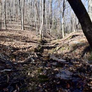 Photo of 48.679 Acres of Hunting / Recreation Land For Sale in Amherst County VA!