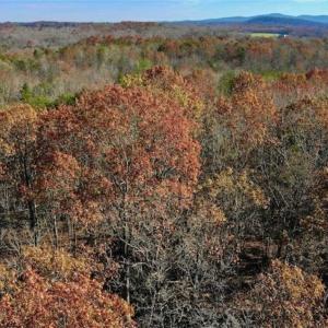 Photo of 48.679 Acres of Hunting / Recreation Land For Sale in Amherst County VA!
