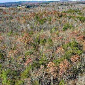 Photo of 48.679 Acres of Hunting / Recreation Land For Sale in Amherst County VA!