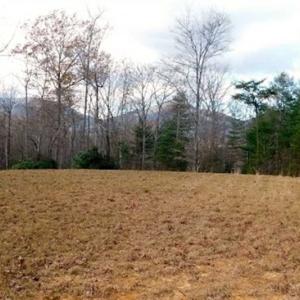 Photo of 19.32 Acres of Residential and Hunting Land For Sale in Bedford County VA!