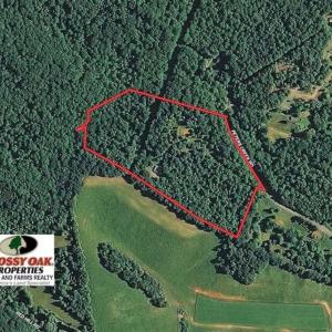 Photo of 19.32 Acres of Residential and Hunting Land For Sale in Bedford County VA!