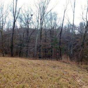 Photo of 19.32 Acres of Residential and Hunting Land For Sale in Bedford County VA!