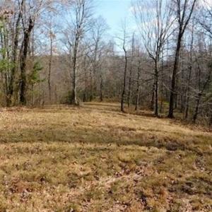 Photo of 19.32 Acres of Residential and Hunting Land For Sale in Bedford County VA!