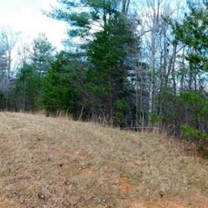 Photo of 19.32 Acres of Residential and Hunting Land For Sale in Bedford County VA!