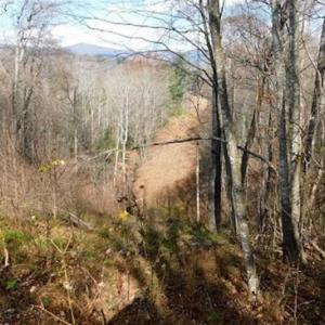 Photo of 19.32 Acres of Residential and Hunting Land For Sale in Bedford County VA!