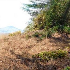 Photo of 19.32 Acres of Residential and Hunting Land For Sale in Bedford County VA!