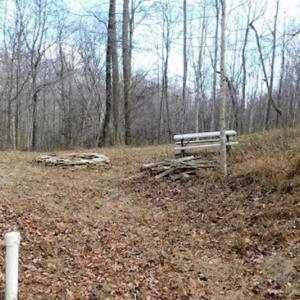 Photo of 19.32 Acres of Residential and Hunting Land For Sale in Bedford County VA!