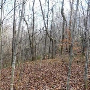 Photo of 19.32 Acres of Residential and Hunting Land For Sale in Bedford County VA!