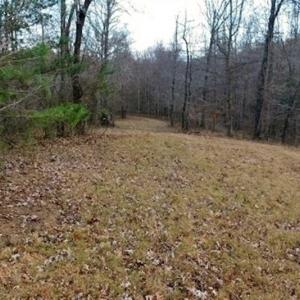 Photo of 19.32 Acres of Residential and Hunting Land For Sale in Bedford County VA!