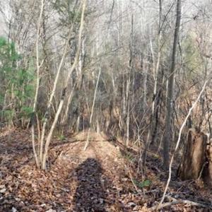 Photo of 19.32 Acres of Residential and Hunting Land For Sale in Bedford County VA!