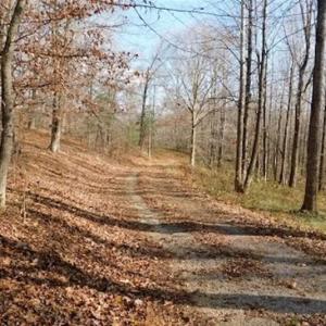 Photo of 19.32 Acres of Residential and Hunting Land For Sale in Bedford County VA!
