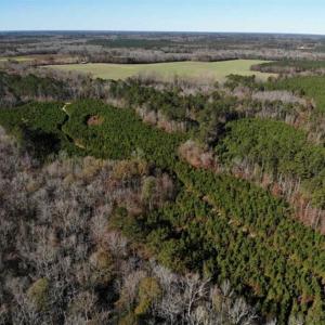 Photo of 302 + / - Acres of Hunting and Timberland for Sale in Sussex County VA!