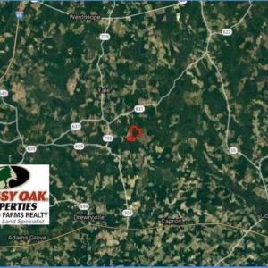 Photo of 302 + / - Acres of Hunting and Timberland for Sale in Sussex County VA!