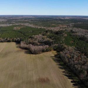 Photo of 302 + / - Acres of Hunting and Timberland for Sale in Sussex County VA!