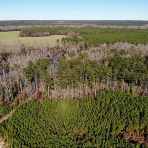 Photo of 302 + / - Acres of Hunting and Timberland for Sale in Sussex County VA!