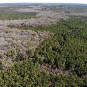 Photo of 302 + / - Acres of Hunting and Timberland for Sale in Sussex County VA!