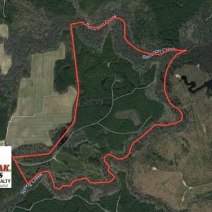 Photo of 302 + / - Acres of Hunting and Timberland for Sale in Sussex County VA!