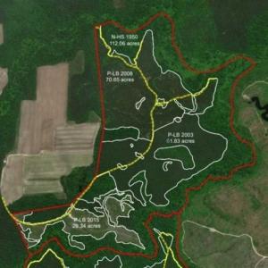 Photo of 302 + / - Acres of Hunting and Timberland for Sale in Sussex County VA!