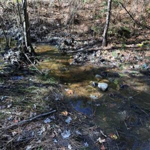 Photo of 302 + / - Acres of Hunting and Timberland for Sale in Sussex County VA!