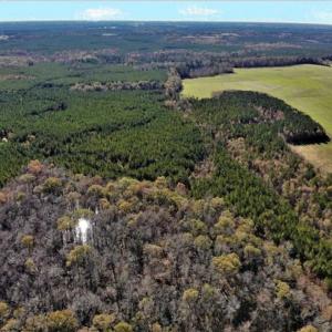 Photo of 302 + / - Acres of Hunting and Timberland for Sale in Sussex County VA!