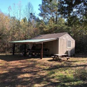 Photo of 302 + / - Acres of Hunting and Timberland for Sale in Sussex County VA!