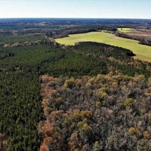 Photo of 302 + / - Acres of Hunting and Timberland for Sale in Sussex County VA!