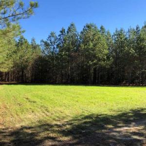 Photo of 302 + / - Acres of Hunting and Timberland for Sale in Sussex County VA!