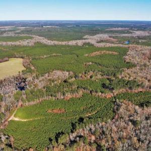 Photo of 302 + / - Acres of Hunting and Timberland for Sale in Sussex County VA!