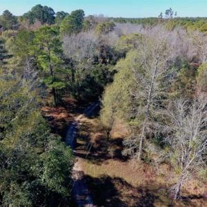 Photo of UNDER CONTRACT!!  50 Acres of Recreational and Hunting Land for Sale in Cumberland County NC!