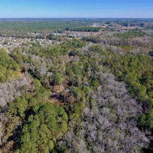 Photo of UNDER CONTRACT!!  50 Acres of Recreational and Hunting Land for Sale in Cumberland County NC!