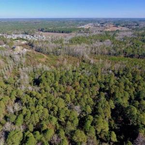 Photo of UNDER CONTRACT!!  50 Acres of Recreational and Hunting Land for Sale in Cumberland County NC!