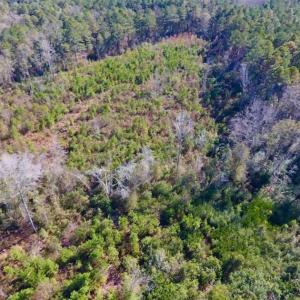 Photo of UNDER CONTRACT!!  50 Acres of Recreational and Hunting Land for Sale in Cumberland County NC!