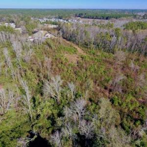 Photo of UNDER CONTRACT!!  50 Acres of Recreational and Hunting Land for Sale in Cumberland County NC!