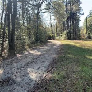 Photo of UNDER CONTRACT!!  50 Acres of Recreational and Hunting Land for Sale in Cumberland County NC!
