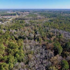 Photo of UNDER CONTRACT!!  50 Acres of Recreational and Hunting Land for Sale in Cumberland County NC!