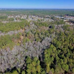 Photo of UNDER CONTRACT!!  50 Acres of Recreational and Hunting Land for Sale in Cumberland County NC!