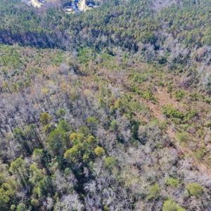 Photo of UNDER CONTRACT!!  50 Acres of Recreational and Hunting Land for Sale in Cumberland County NC!