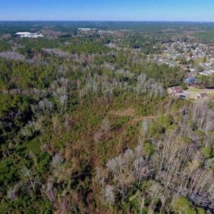 Photo of UNDER CONTRACT!!  50 Acres of Recreational and Hunting Land for Sale in Cumberland County NC!
