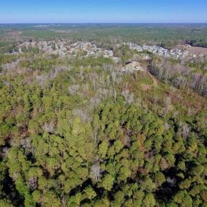 Photo of UNDER CONTRACT!!  50 Acres of Recreational and Hunting Land for Sale in Cumberland County NC!
