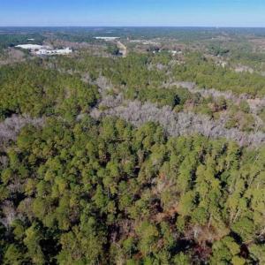 Photo of UNDER CONTRACT!!  50 Acres of Recreational and Hunting Land for Sale in Cumberland County NC!