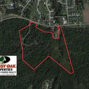 Photo of UNDER CONTRACT!!  50 Acres of Recreational and Hunting Land for Sale in Cumberland County NC!
